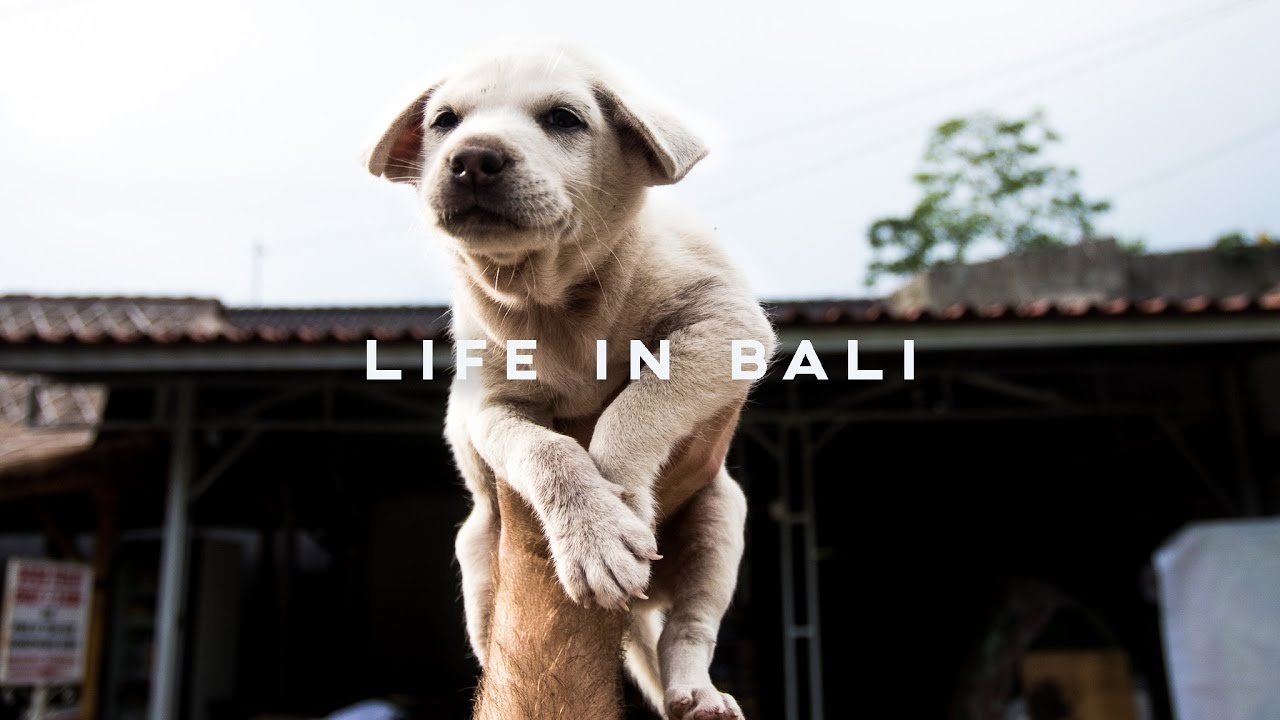 LIFE IN BALI // #PackMoreIn