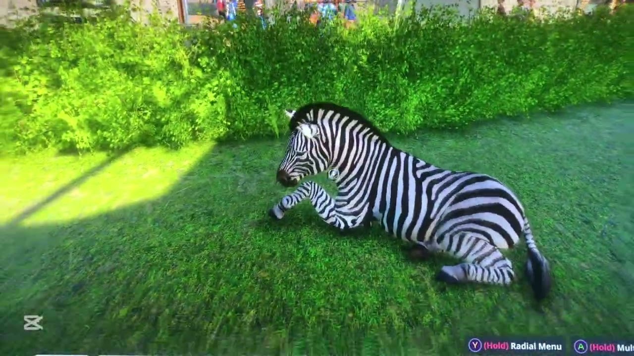 Planet Zoo FRANCHISE MODE ep7 The ACZ central Hub Mega zoo 🦏 🇳🇮