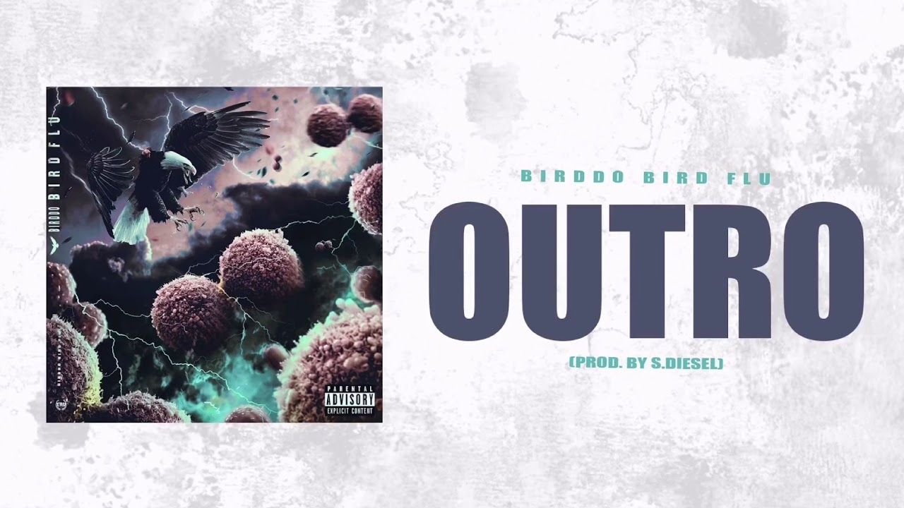 Birddo - Outro