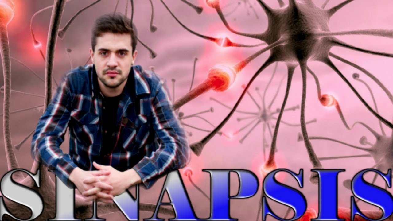 La comunicaci&oacute;n cerebral (Sinapsis Neuronal)