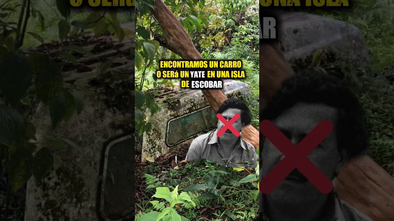 Encontré restos de un yate en una de las islas de p∆bl0 escxbxr😱