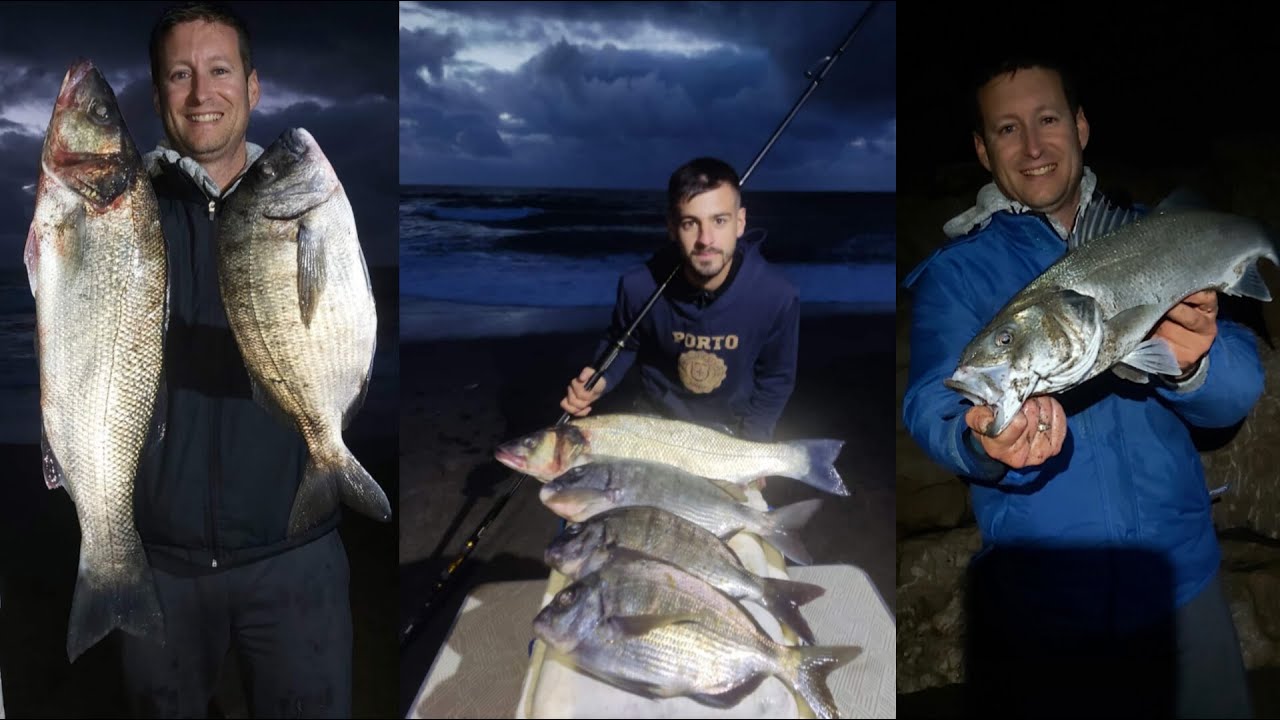 🔥Gran jornada de pesca en Málaga🔥