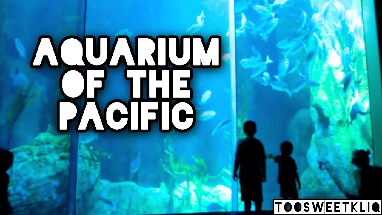 Aquarium Of The Pacific | Best Places To Visit In Long Beach | Too Sweet Kliq Adventures 2025