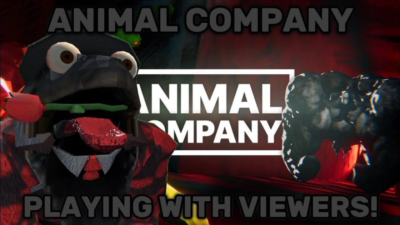 Animal Company: Playing With Viewers!