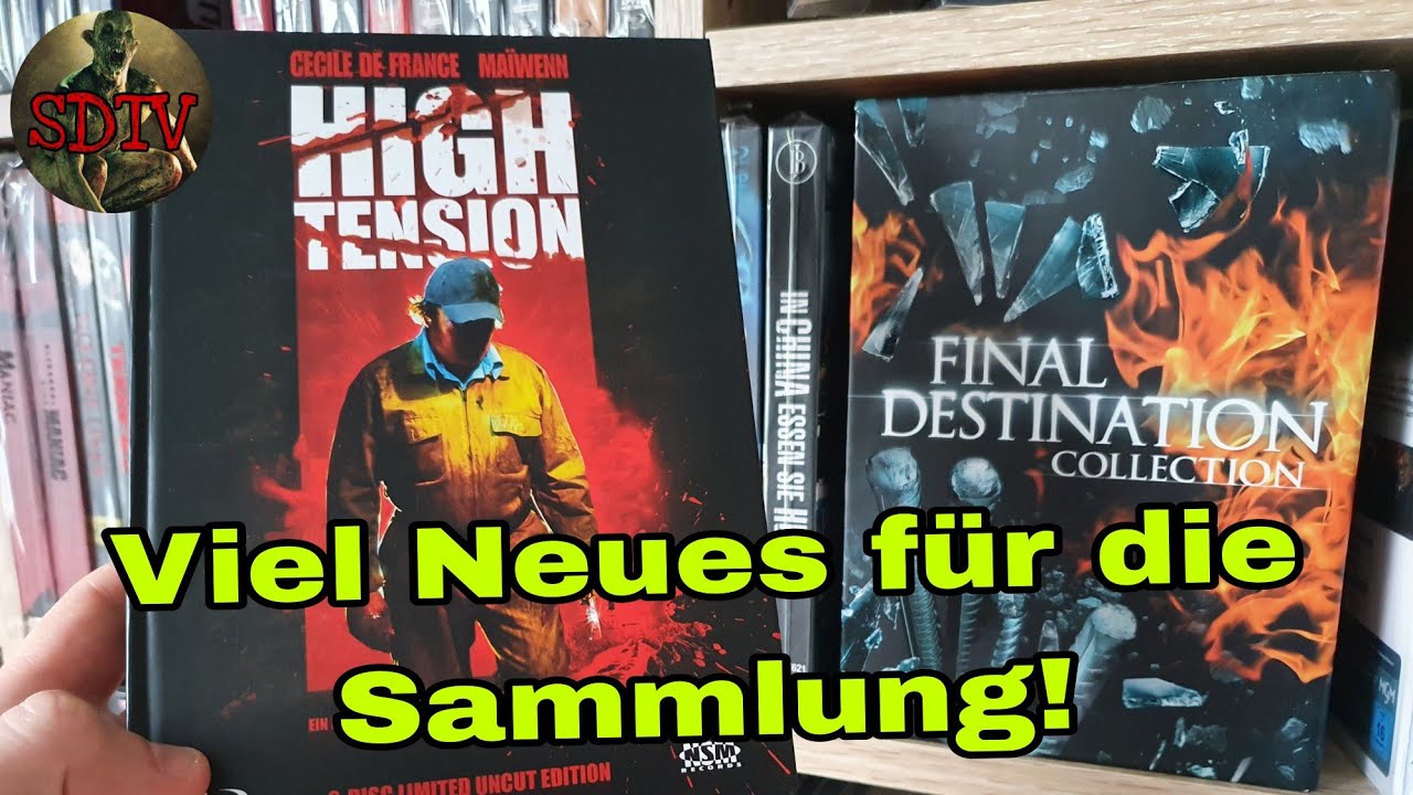 FILMUPDATE AUGUST 2022: Meine KÄUFE des letzten Monats!💰