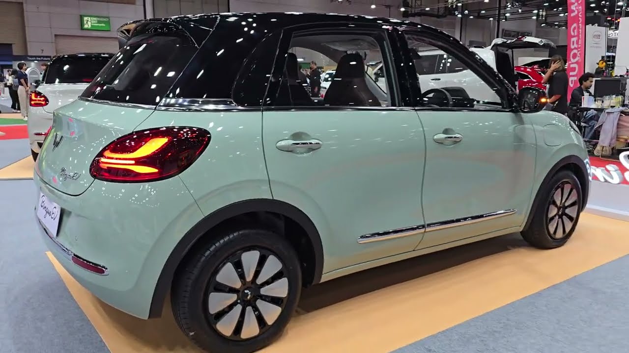 2024 New Wuling Binguo EV 333KM AC DC