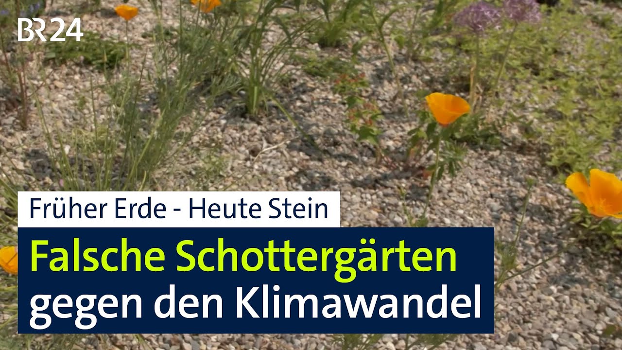 Klimaresistenter Umbau: Weihenstephaner Schaug&auml;rten bekommen Schotterauflage | Abendschau | BR24