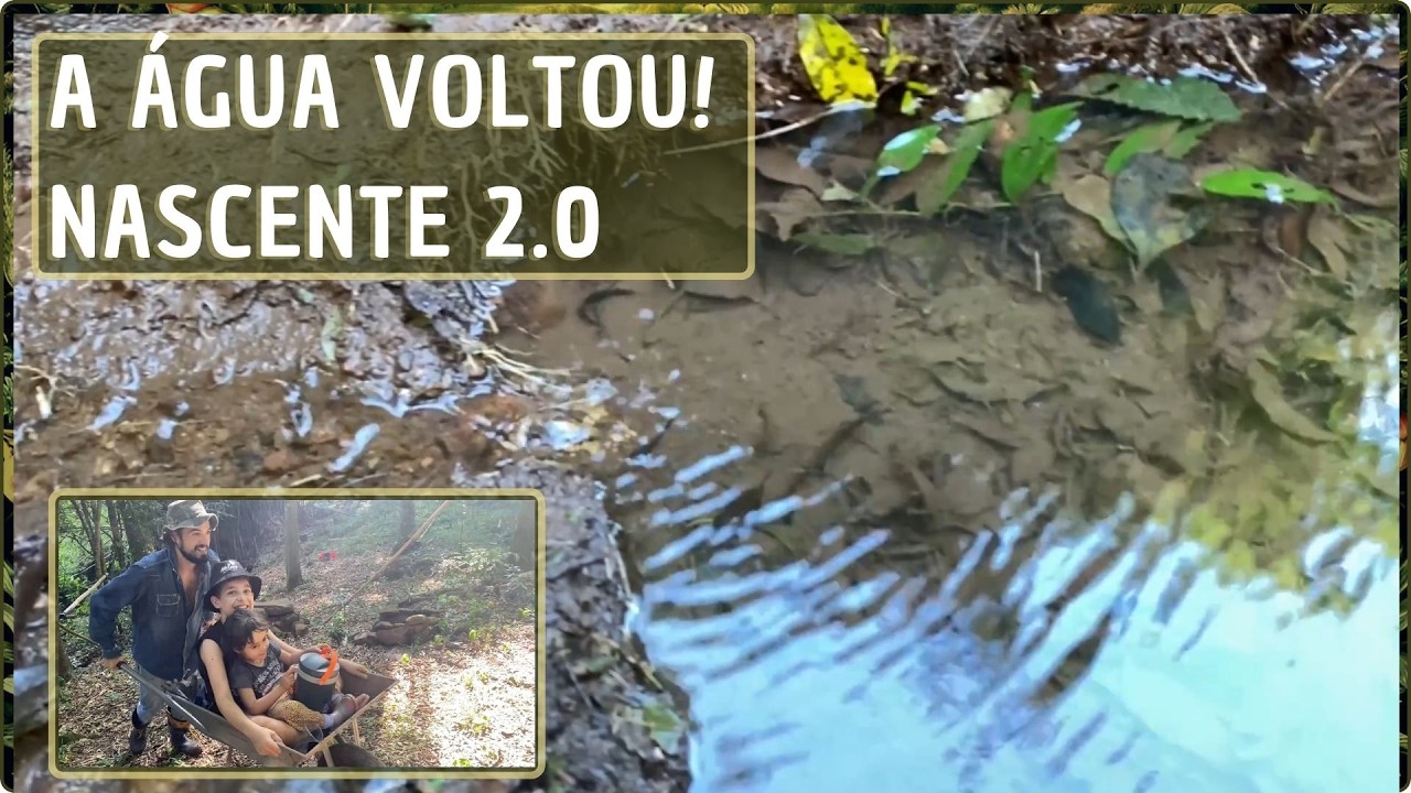 Limpando as Nascentes do Sítio + A Nova Nascente 2.0 Apareceu! - Sítio Jardim Alquimista #18