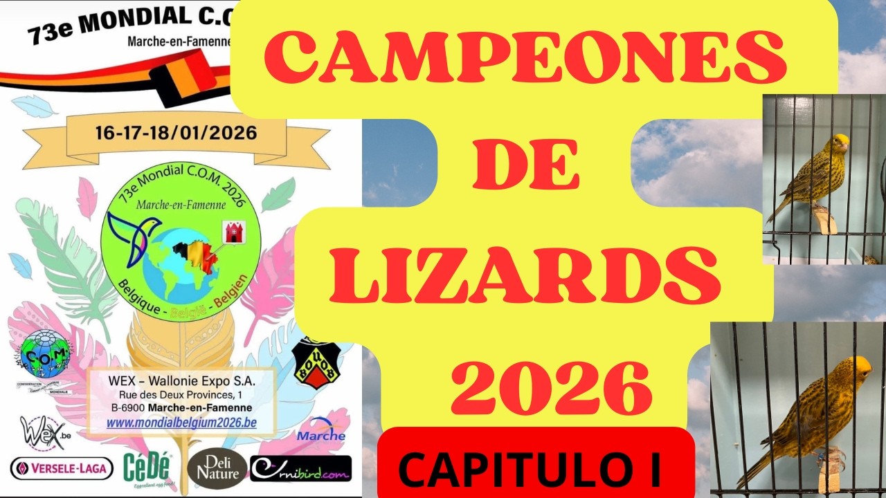LIZARDS,  CAMPEONES DEL MUNDO 1