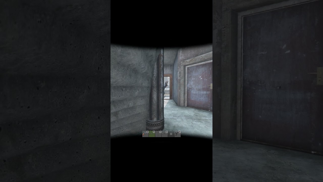How NOT to enter a PD in DayZ