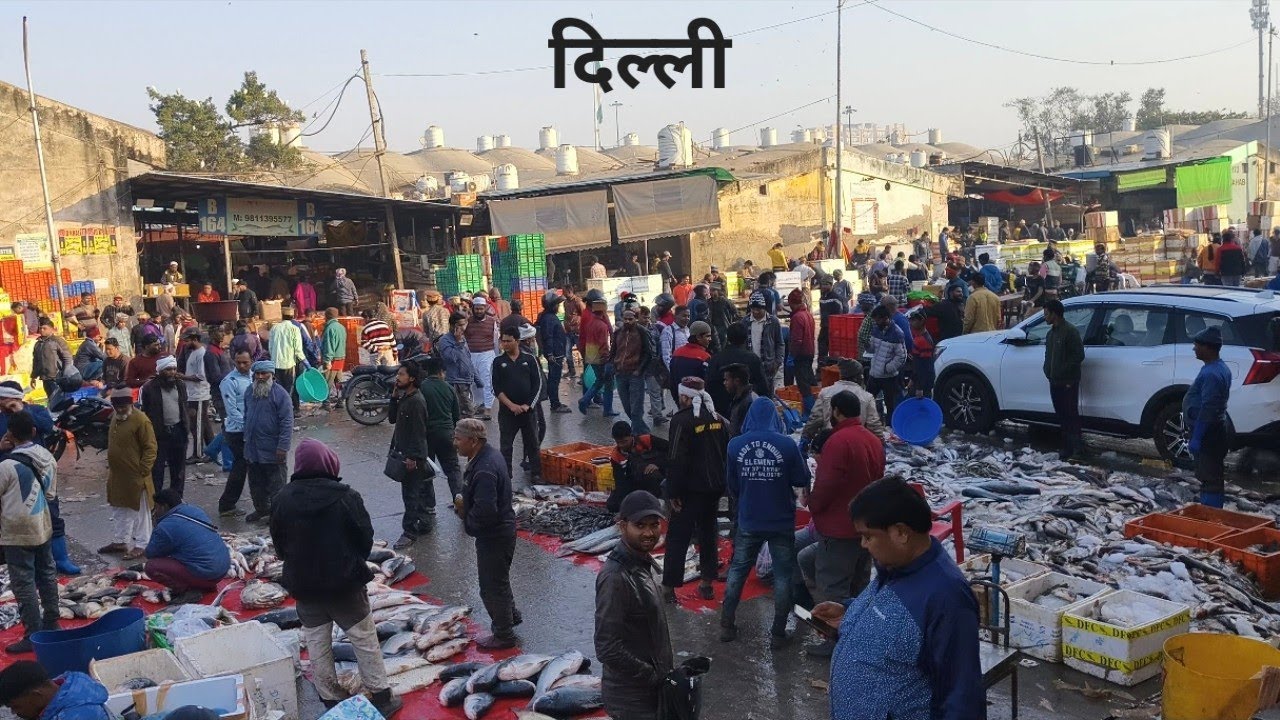 Biggest Sea Fish Market In Delhi | Delhi Street Food |Ghazipur Fish Mandi today price Delhi