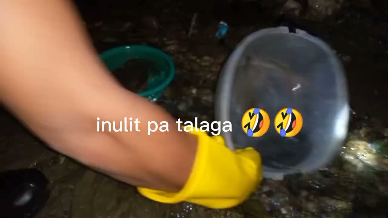 CLEANING TUBIFEX / HOW TO CATCH AND CLEAN TUBIFEX / PAANO KUKUHA AT LINISIN ANG TUBIFEX