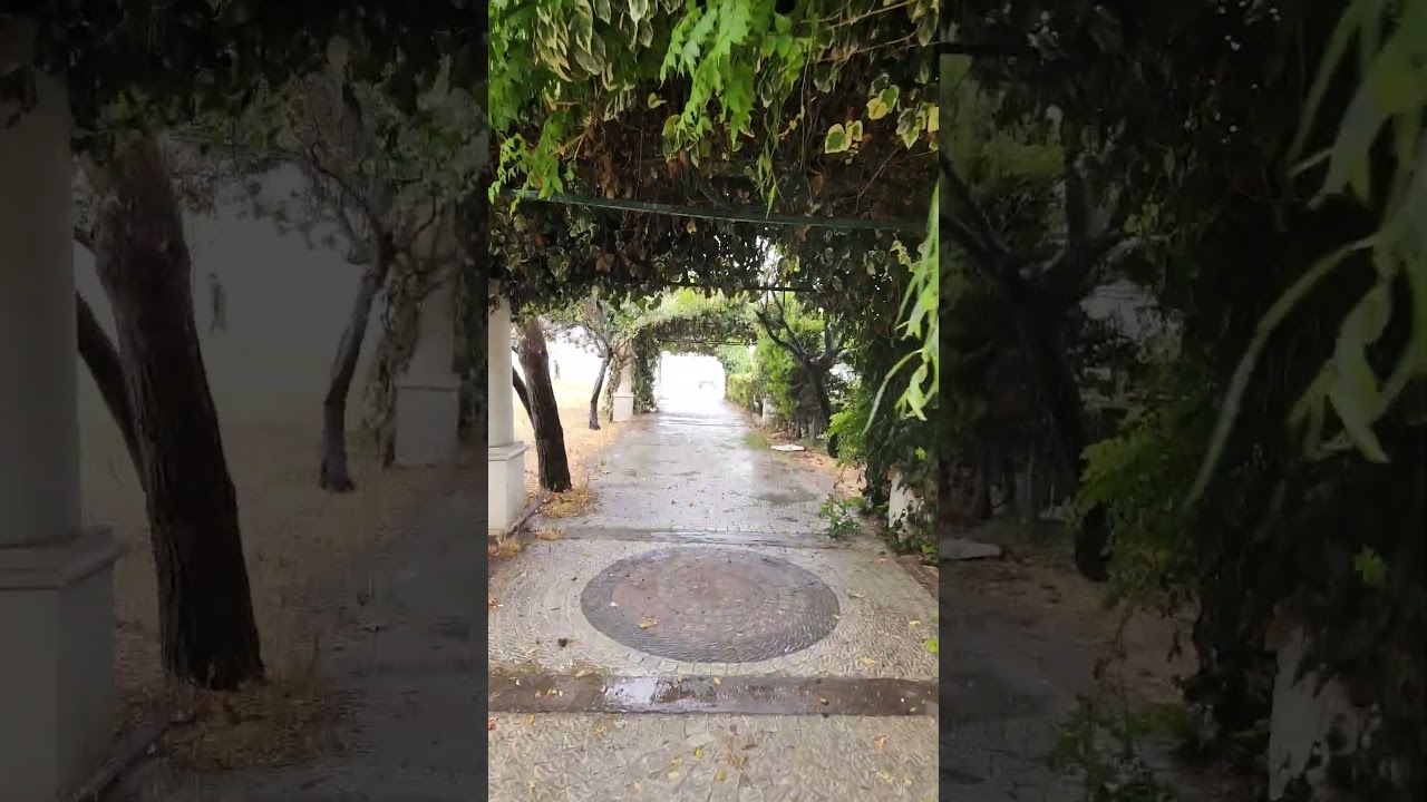 summer rain 😍😍😍 #beachwalk #beachwalktour #summer