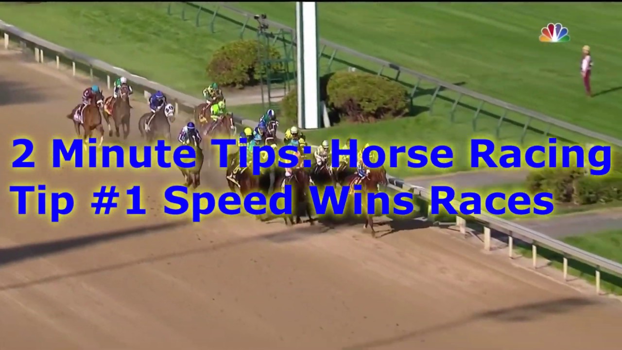 Tip #1 Speed Wins Races. 2 Minute Tips: Horse Racing Series.