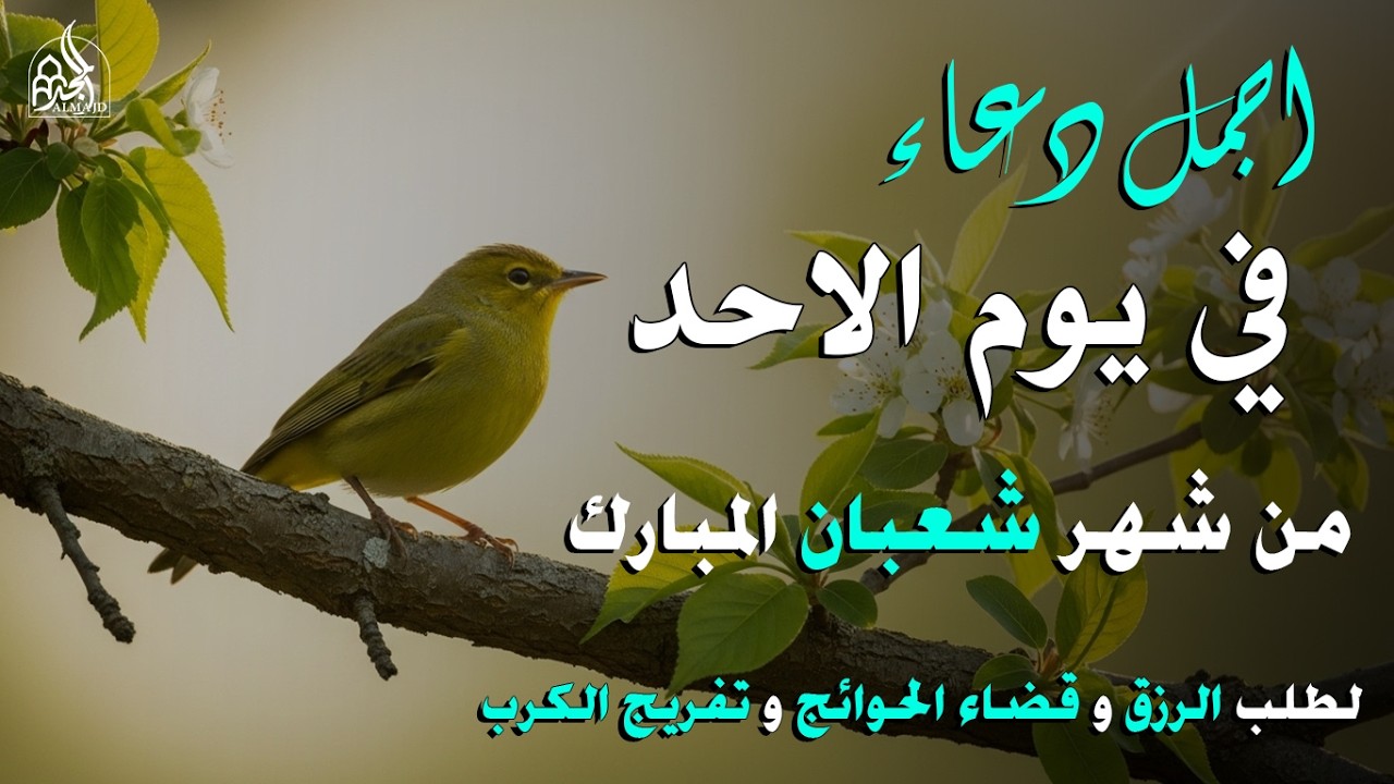 دعاء ليلة الجمعة | أول ليلة جمعة من شهر شعبان المبارك.. لا تُفوّت هذه الليلة العظيمة وإجابة الدعاء 🤲