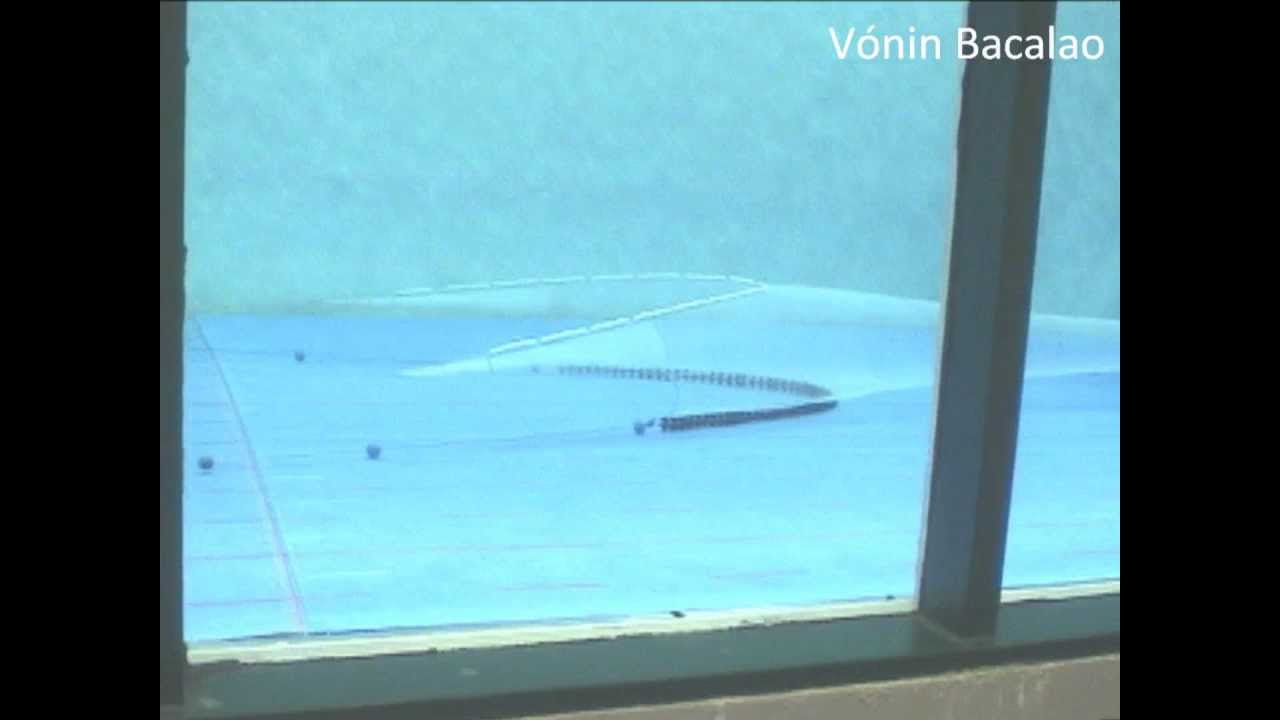 Vónin Bacalao - bottom trawl tested in the flume tank