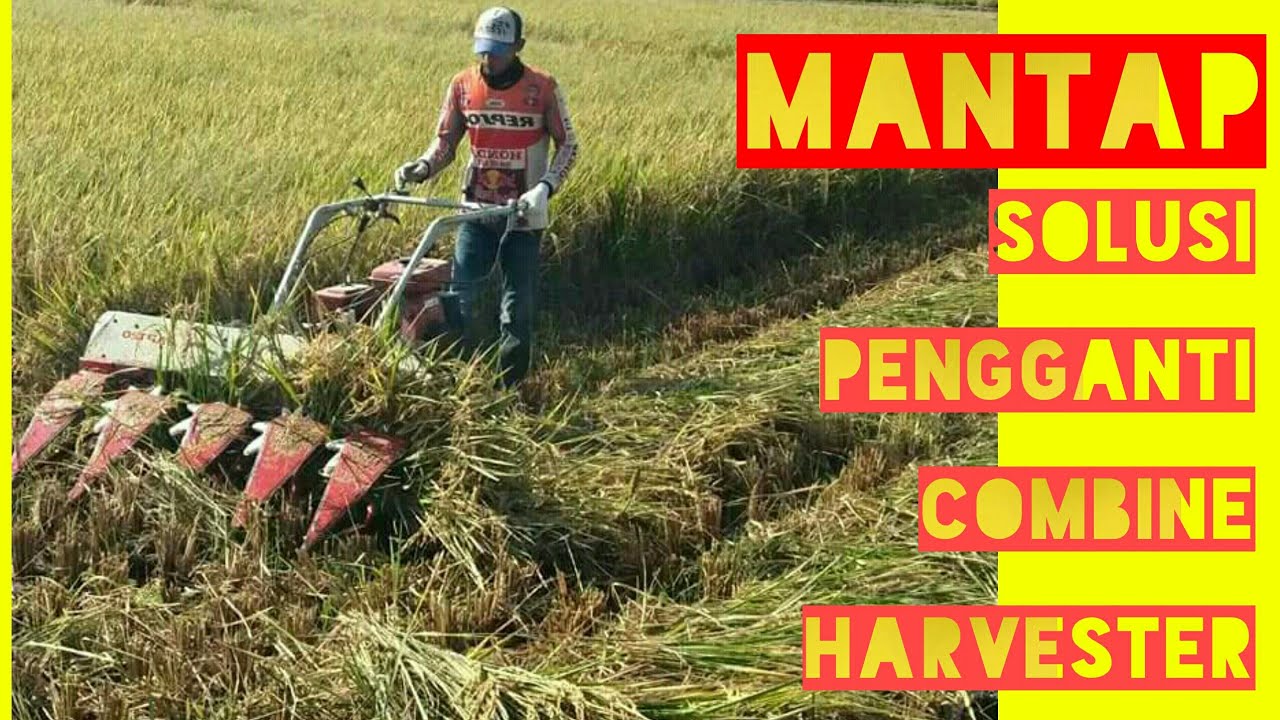 Lebih Murah! Mesin Reaper Padi Solusi Pengganti Combine Harvester