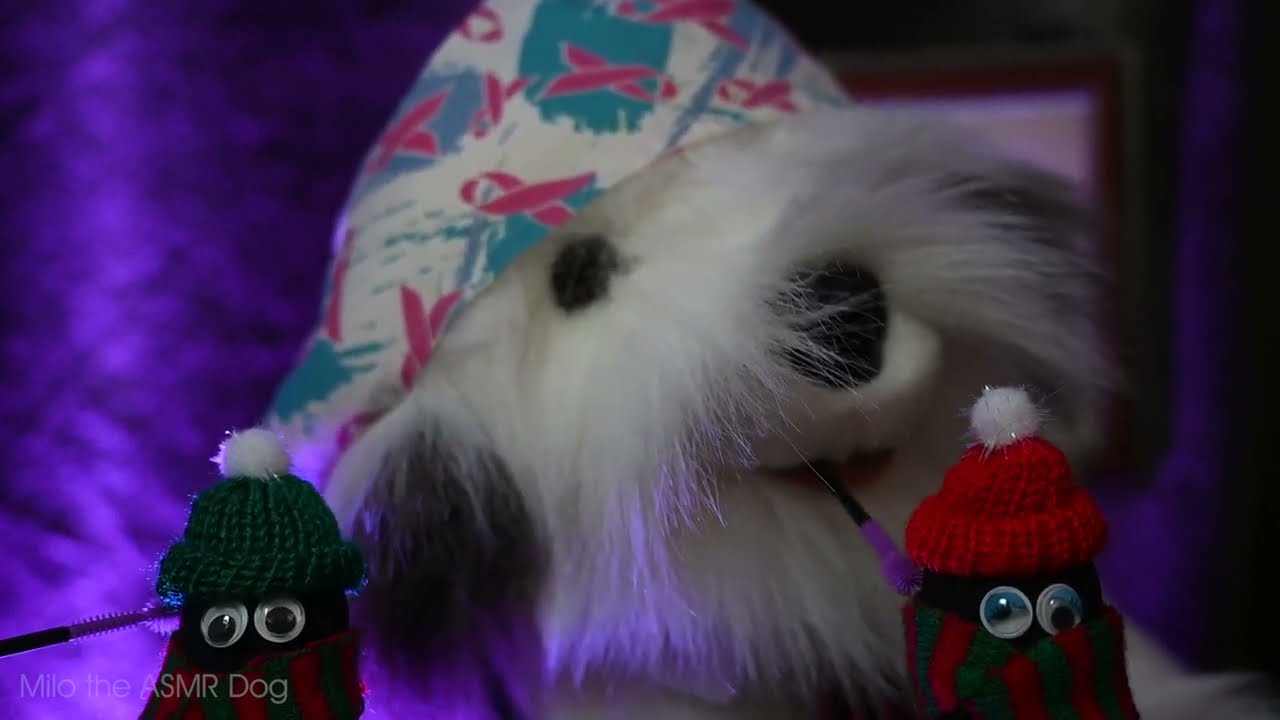No Talking ASMR - Half Hour of Relaxing Scratching and Brushing for Sleep and Study