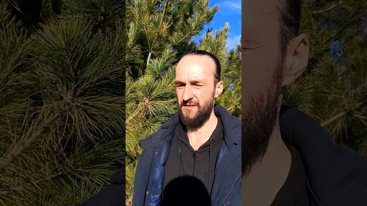 Вебкурс Лесоботаническое садоводство