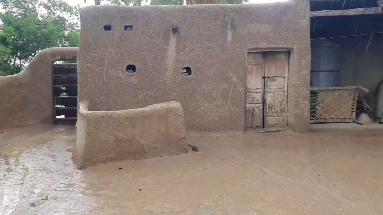 Village Rain And Mud Houses in Punjab #villagelife #rain 