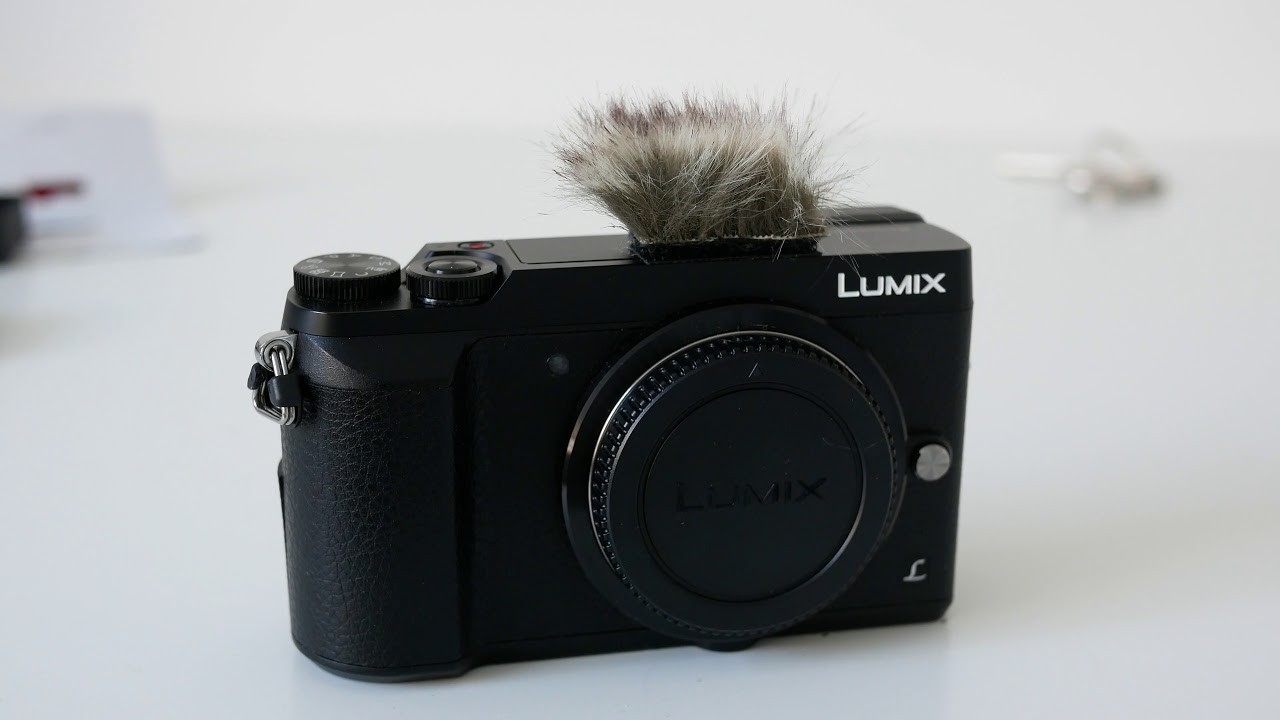 Micromuff Skinny Wind Noise Reduction for Compact Cameras - Review and Test