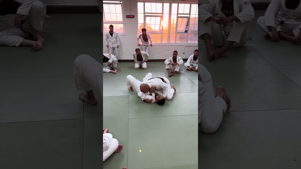 I wish I knew this as a BJJ white belt .
