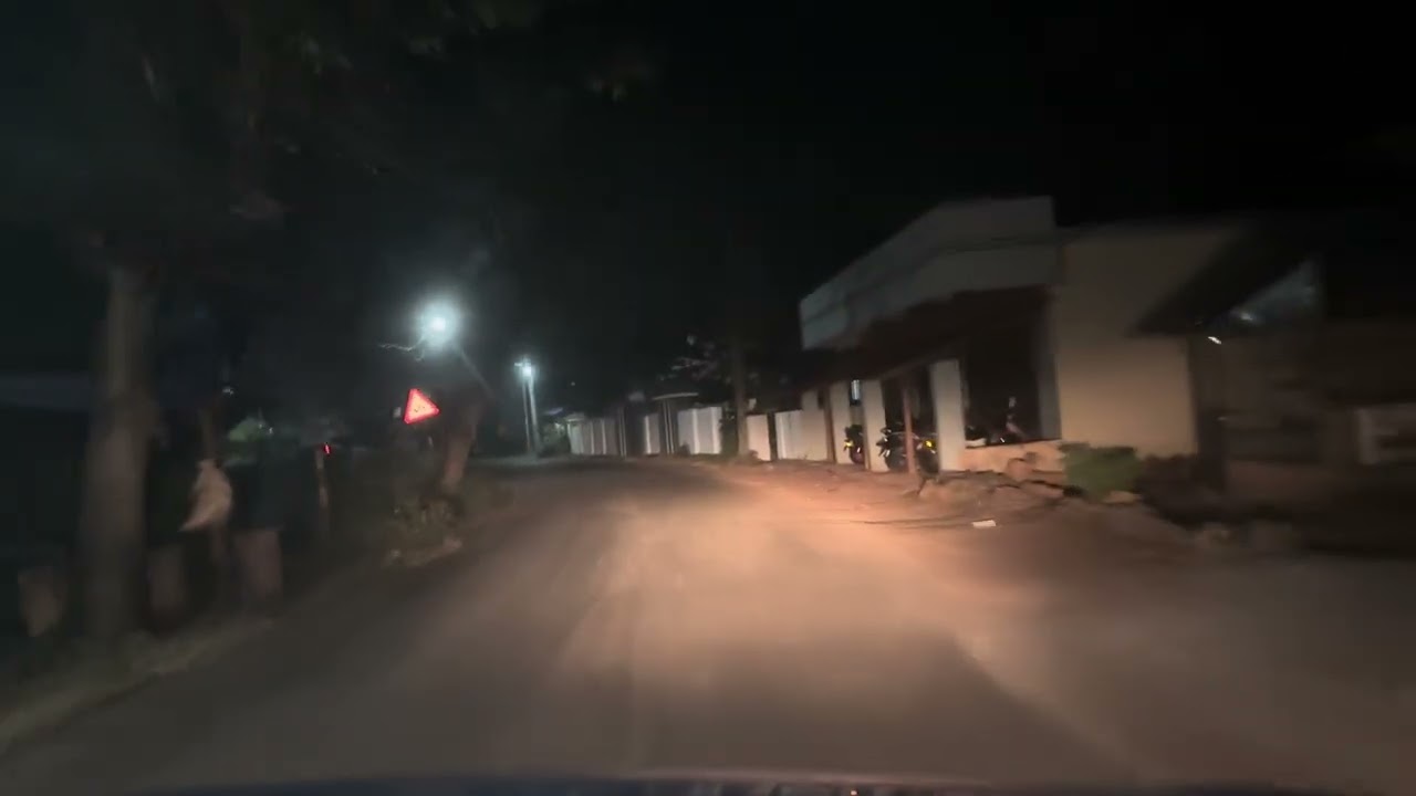 Night drive - vettoor 