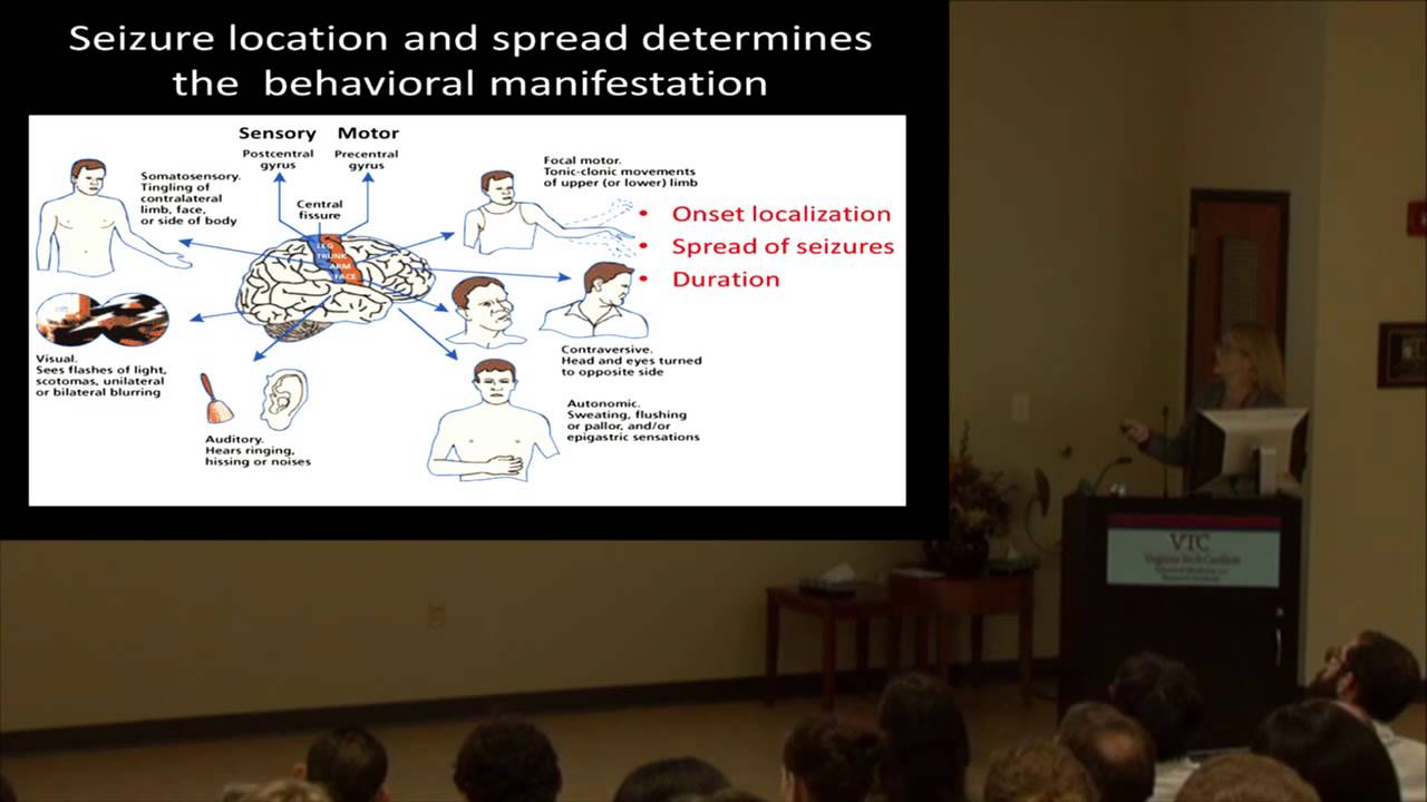 Dancing with Epilepsy: Pathology, Animal Models, and Translation