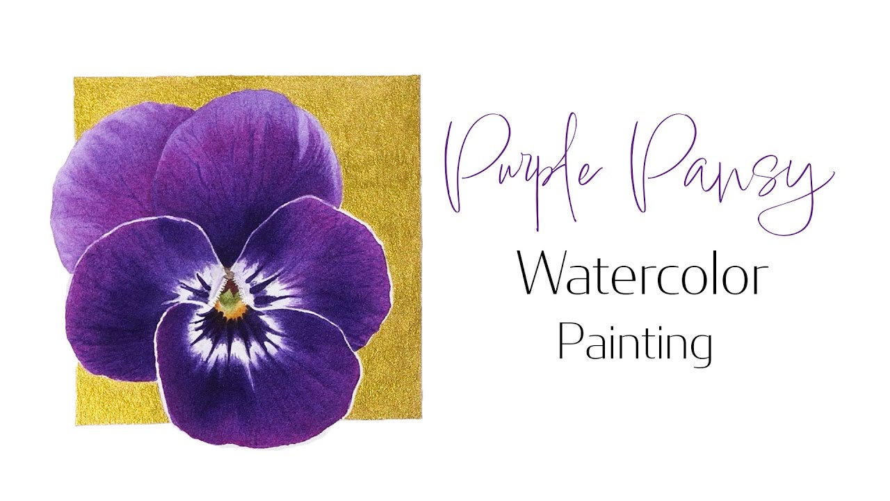 Purple Pansy watercolor painting tutorial 🌸 Painting gold background