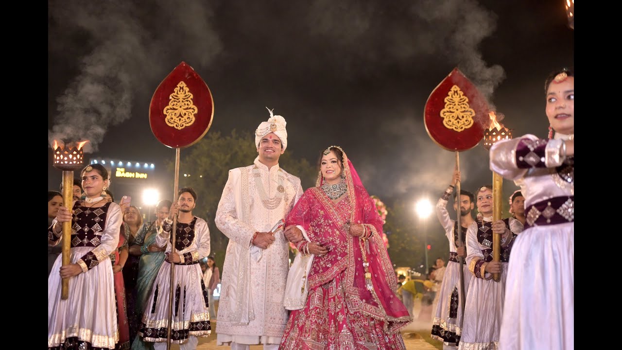 Aniruddh & Ankita Wedding  Highlight