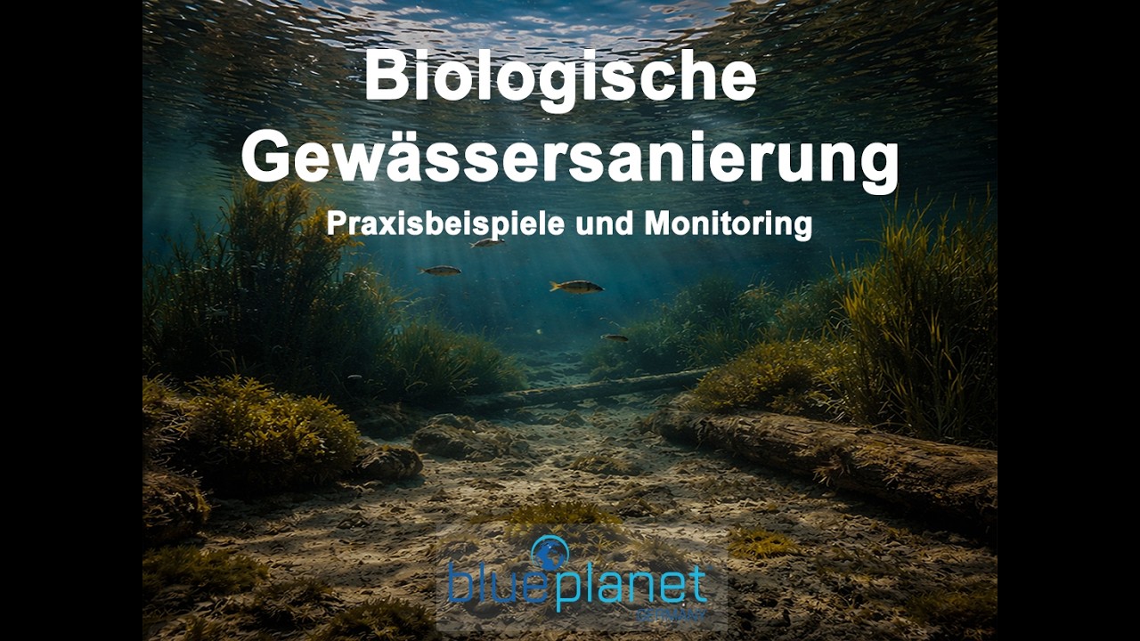 Gewässermonitoring in der Praxis, Aufzeichnung des Webinars vom 29.01.2026