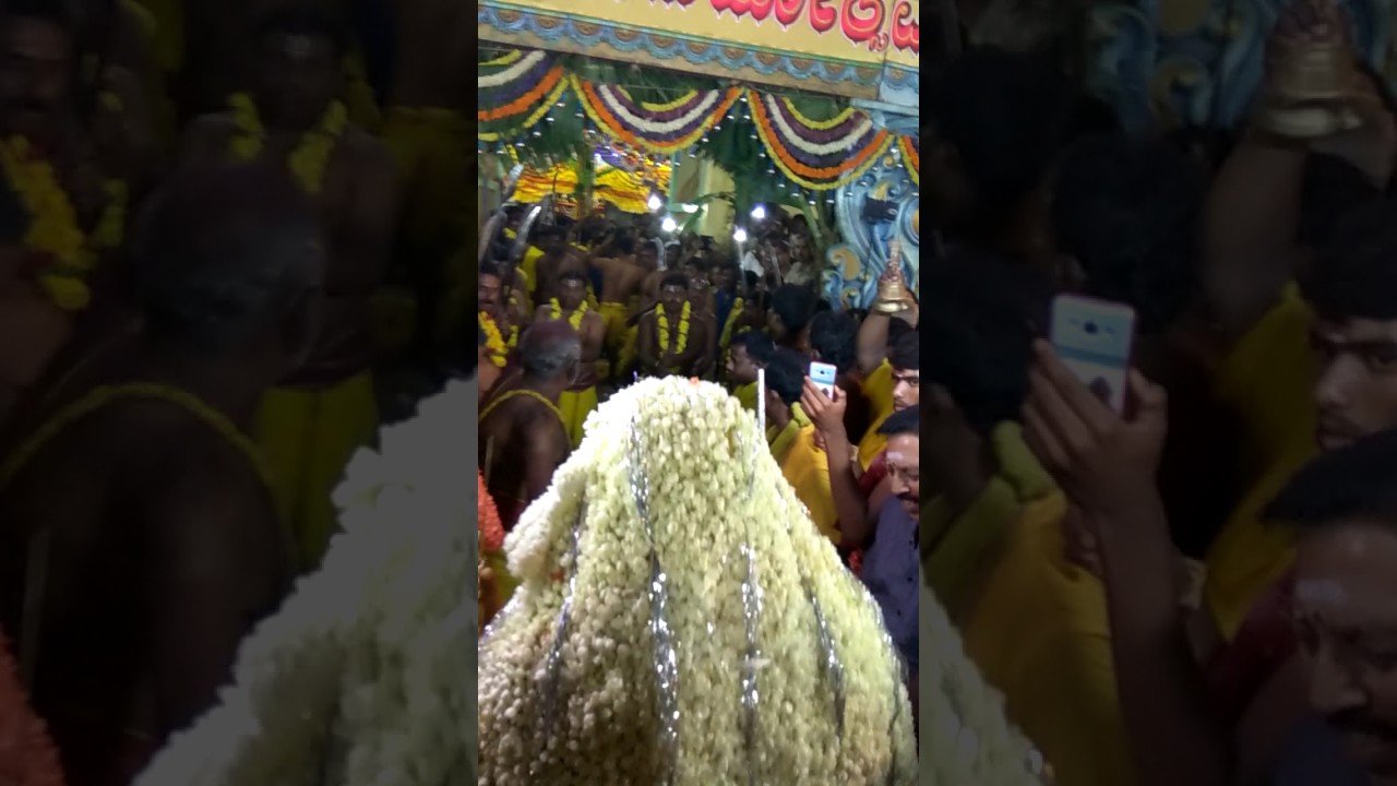Malur karaga 2017 ravi(2)