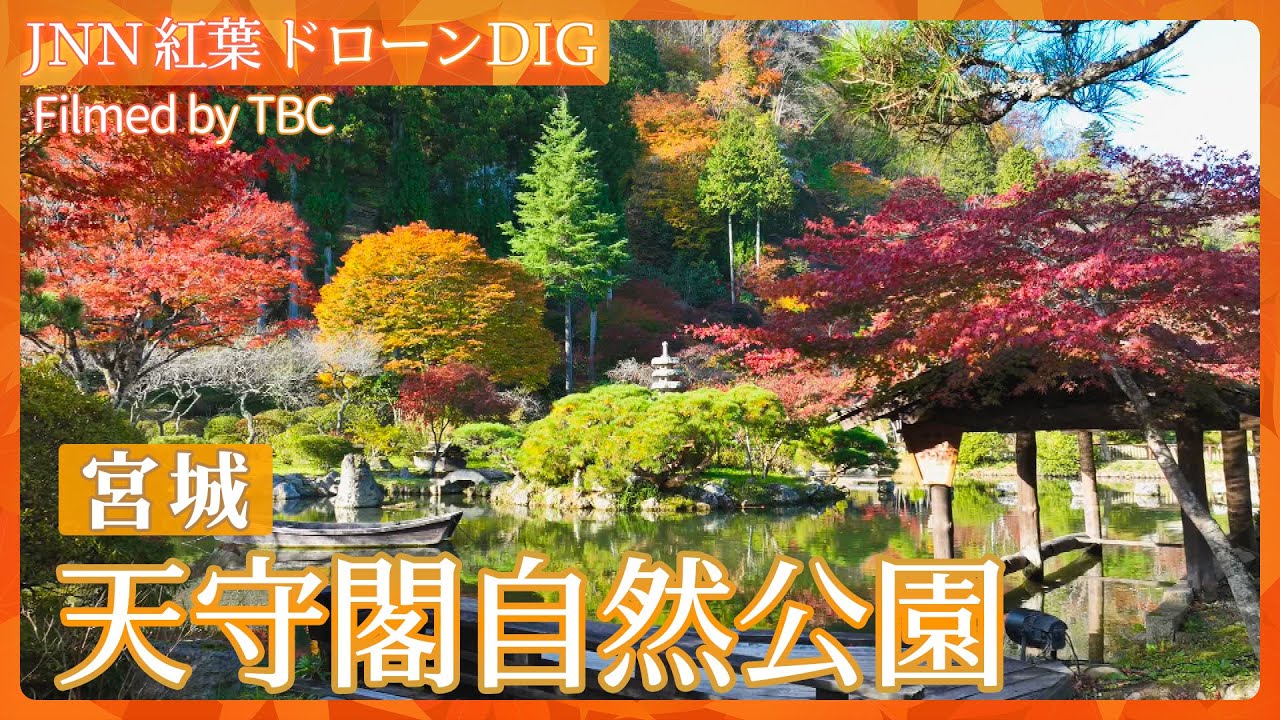 紅葉スケッチ～天守閣自然公園～【JNN 紅葉ドローンDIG 2025】｜TBS NEWS DIG