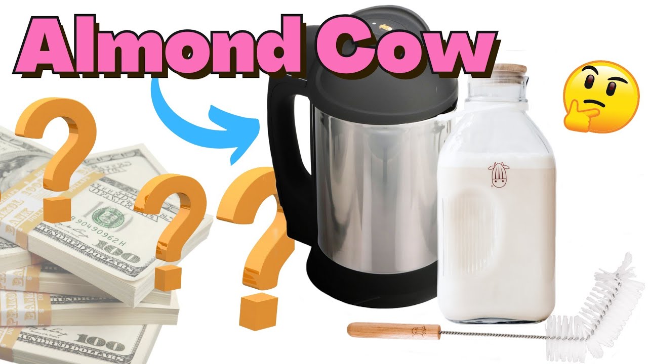 Is The ALMOND COW WORTH BUYING? How To MAKE YOUR OWN PLANT MILK At Home