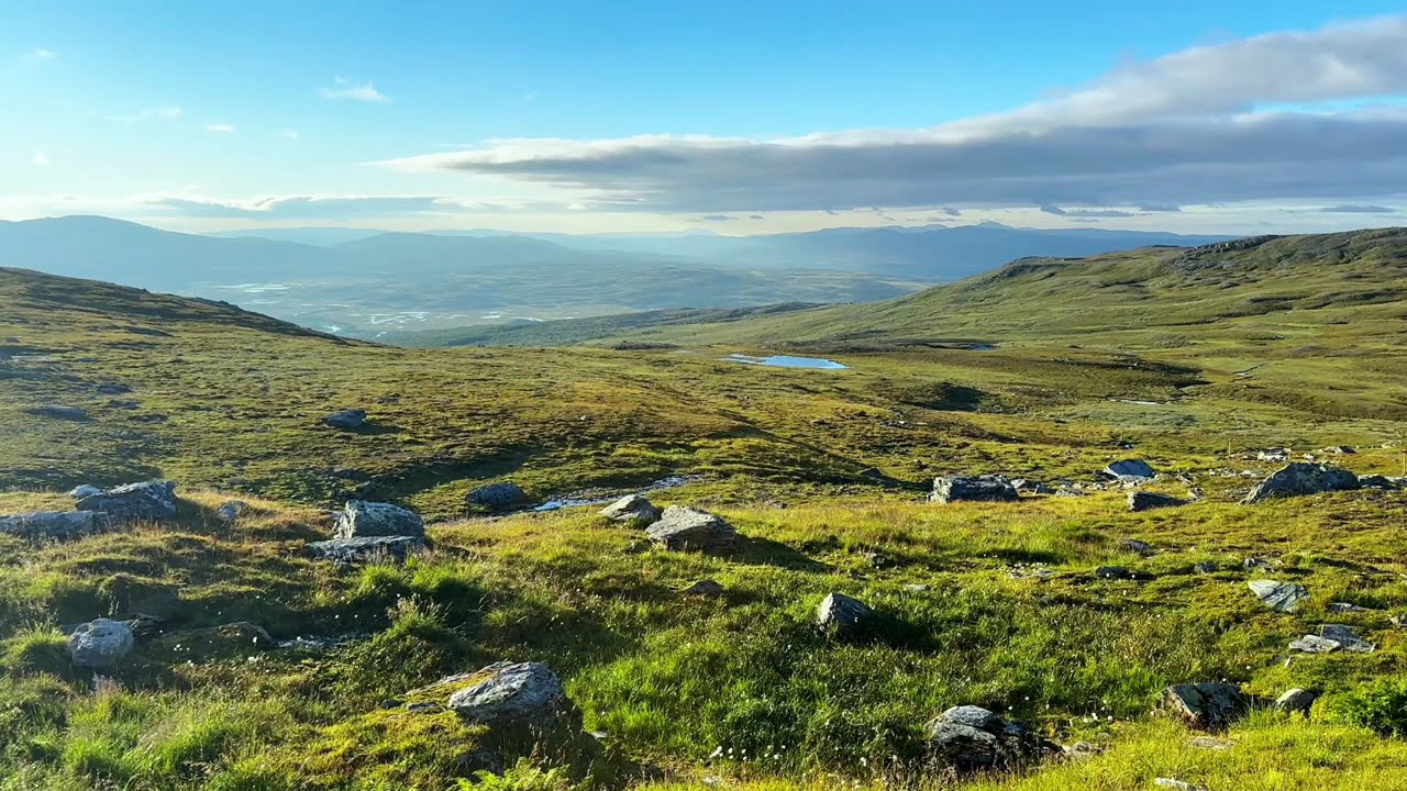 1 Hour Swedish Highland Scenery - Relaxing Nature Ambience 🇸🇪🌲