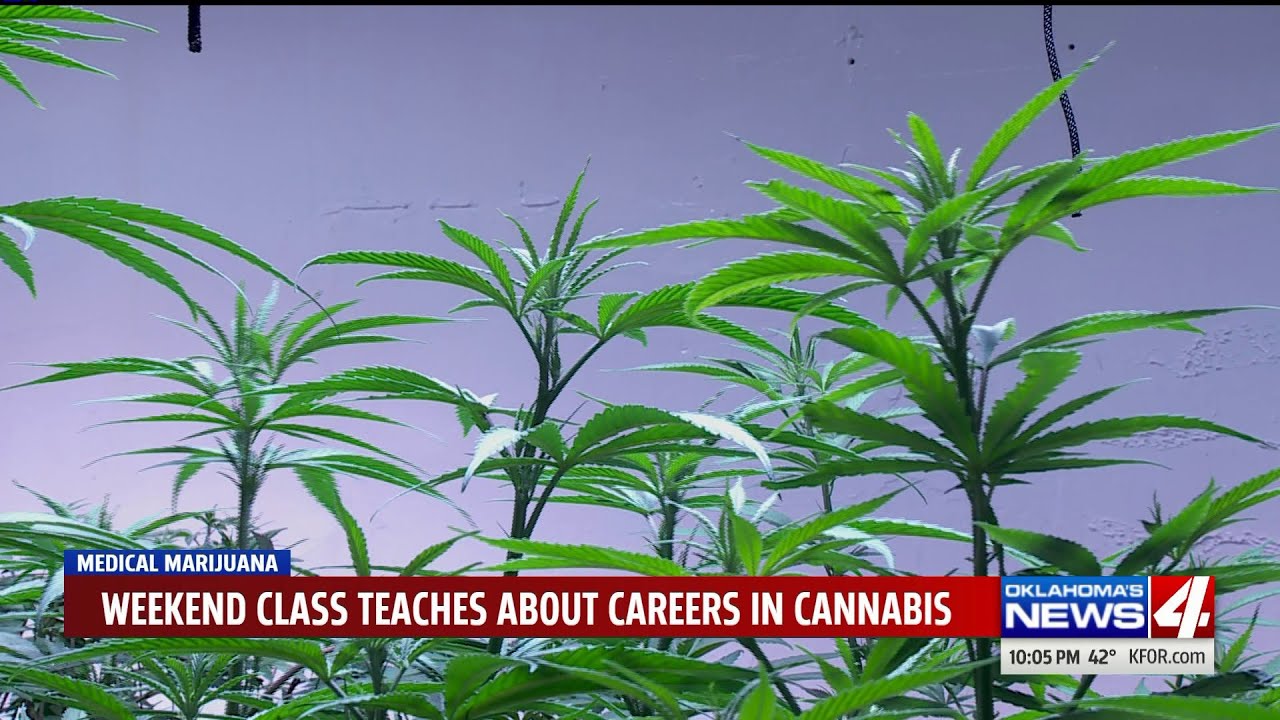 Cannabis college for growing industry