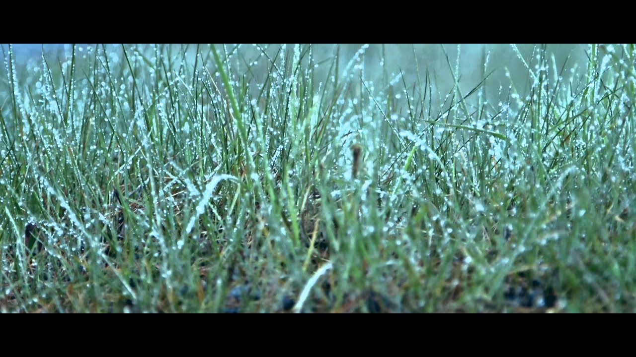 Livsstil Löpning - #livsstillöpning