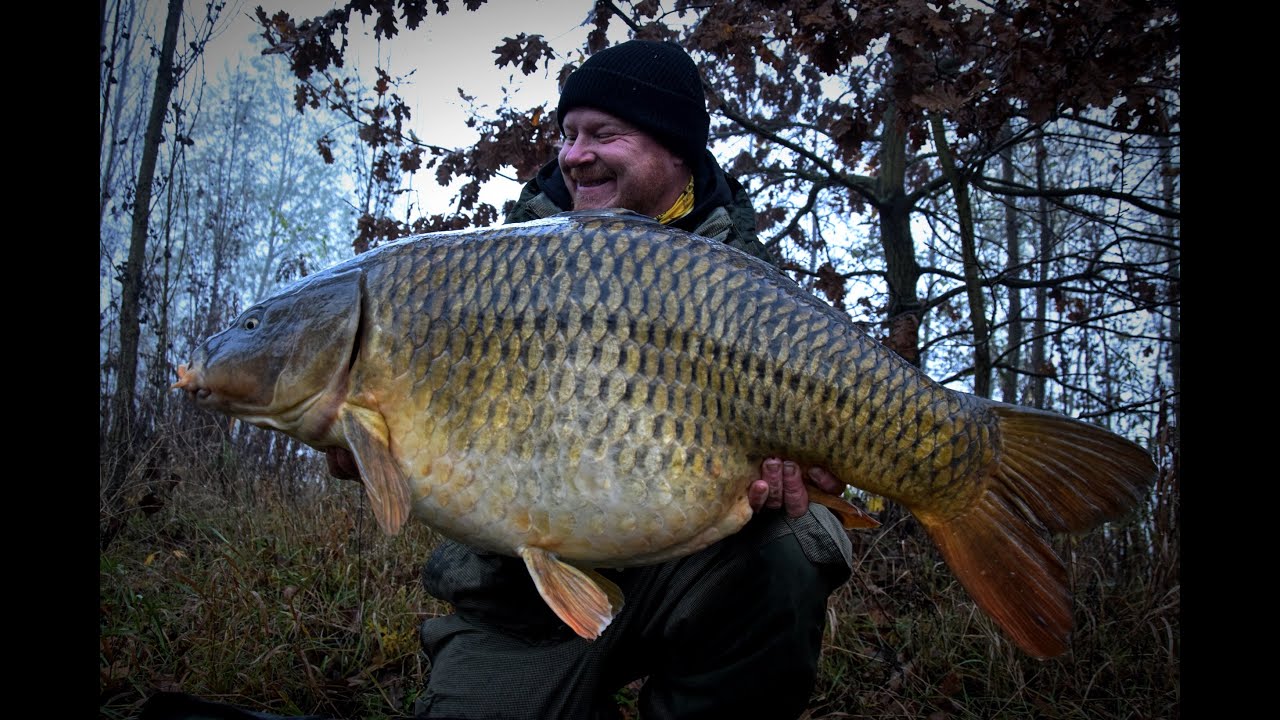 Jan Prchlík 6 x 20+ !