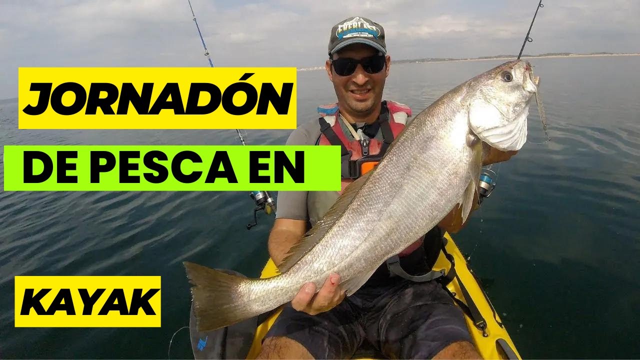 CORVINA A JIGGING DESDE KAYAK-Anjovas al curricán y corvina a light jigging 2019