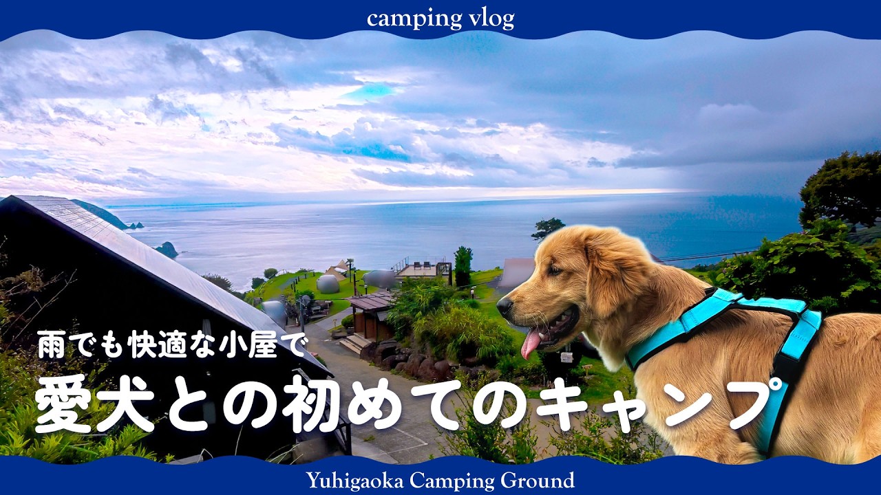 【camping vlog】愛犬と初めてのキャンプ☔南伊豆夕日丘キャンプ場