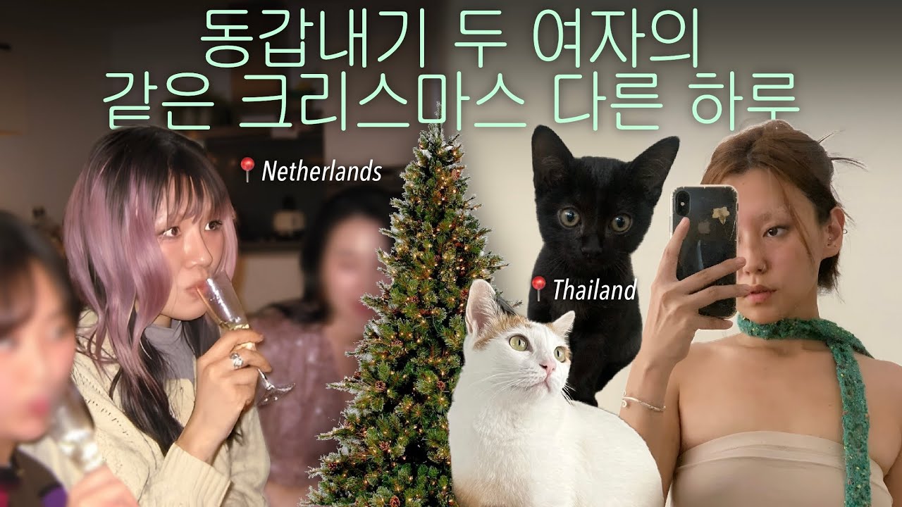 이게 고양이 브이로그여 사람 브이로그여