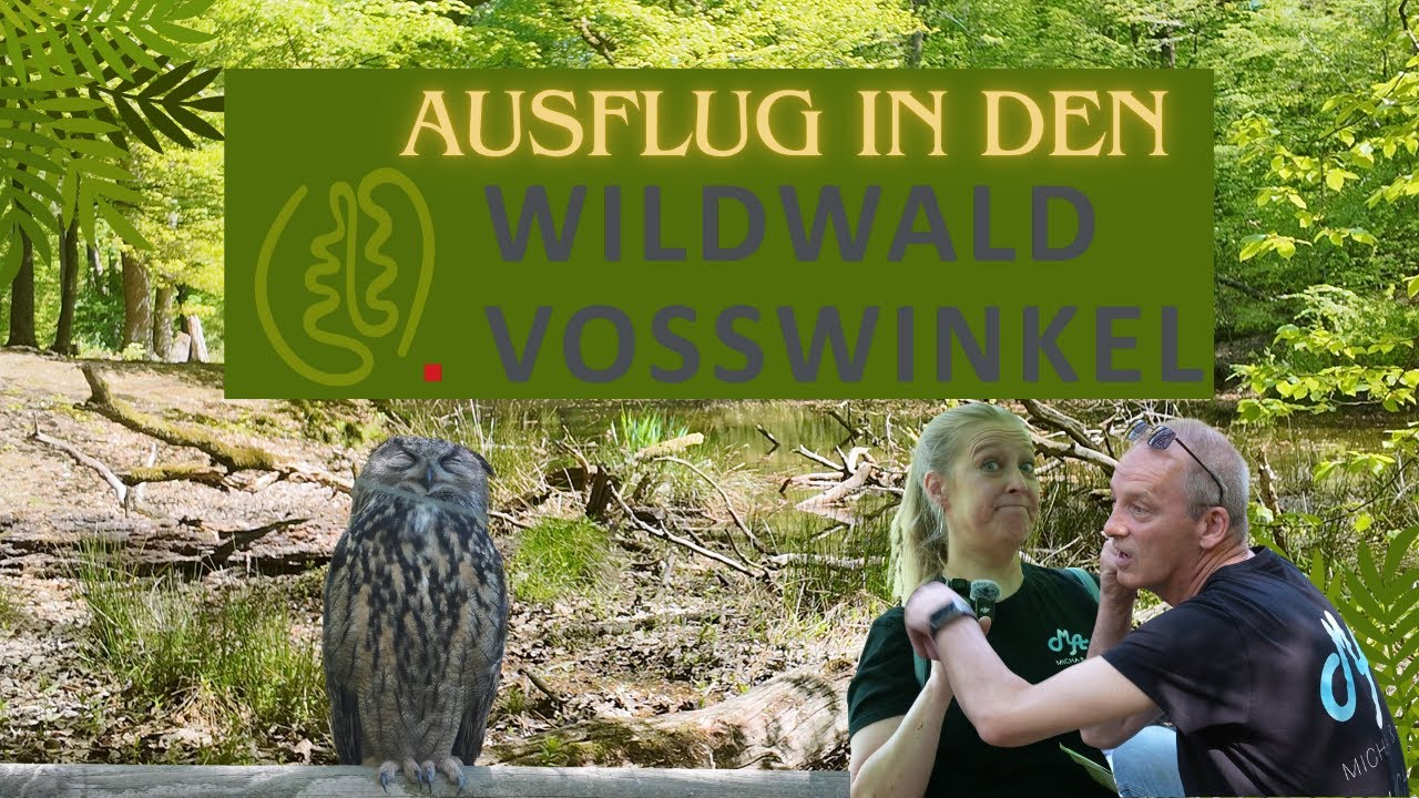 Unser Abenteuer im Wildpark – Tiere hautnah erleben!