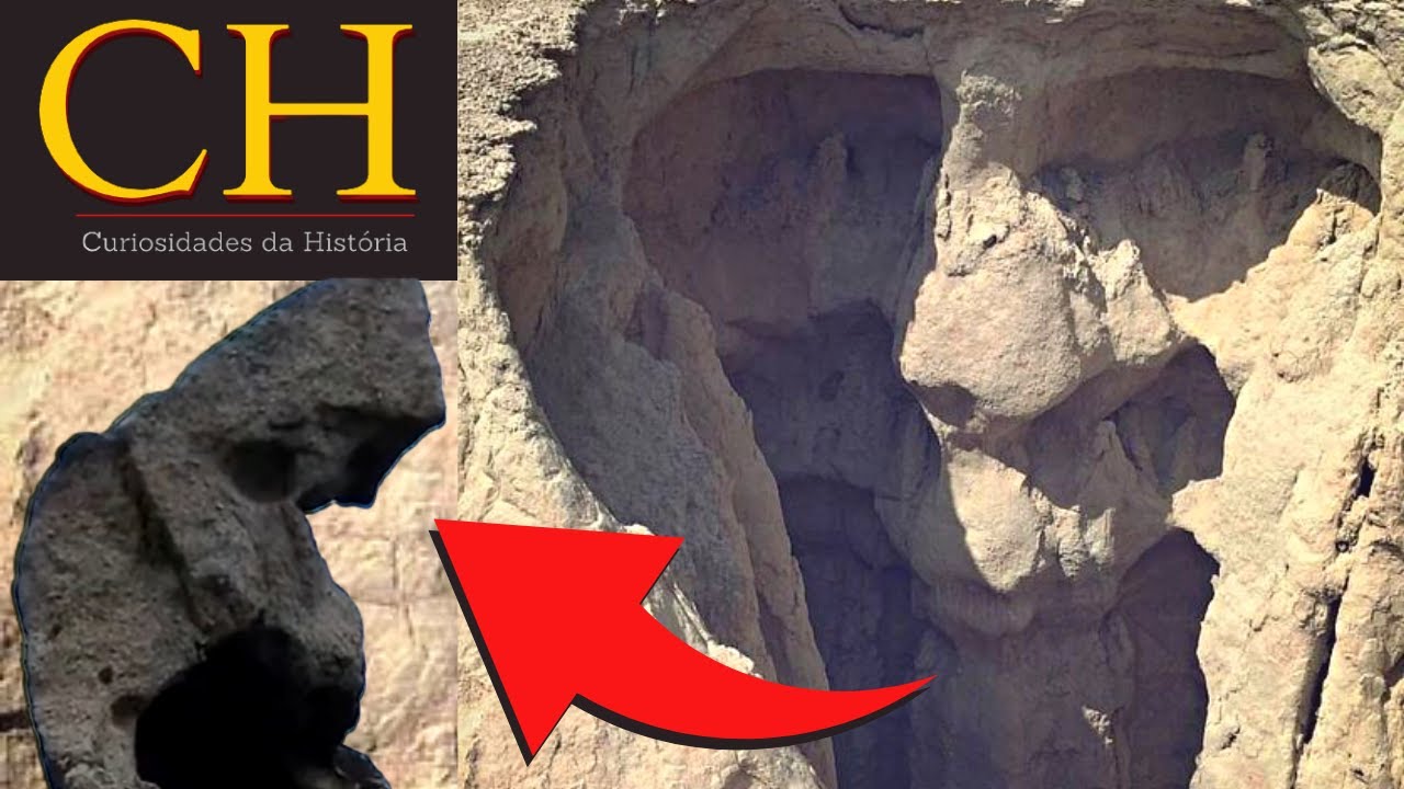 🗿 GIGANTES PETRIFICADOS : HOMENS - ANIMAIS E &Aacute;RVORES de SIL&Iacute;CIO