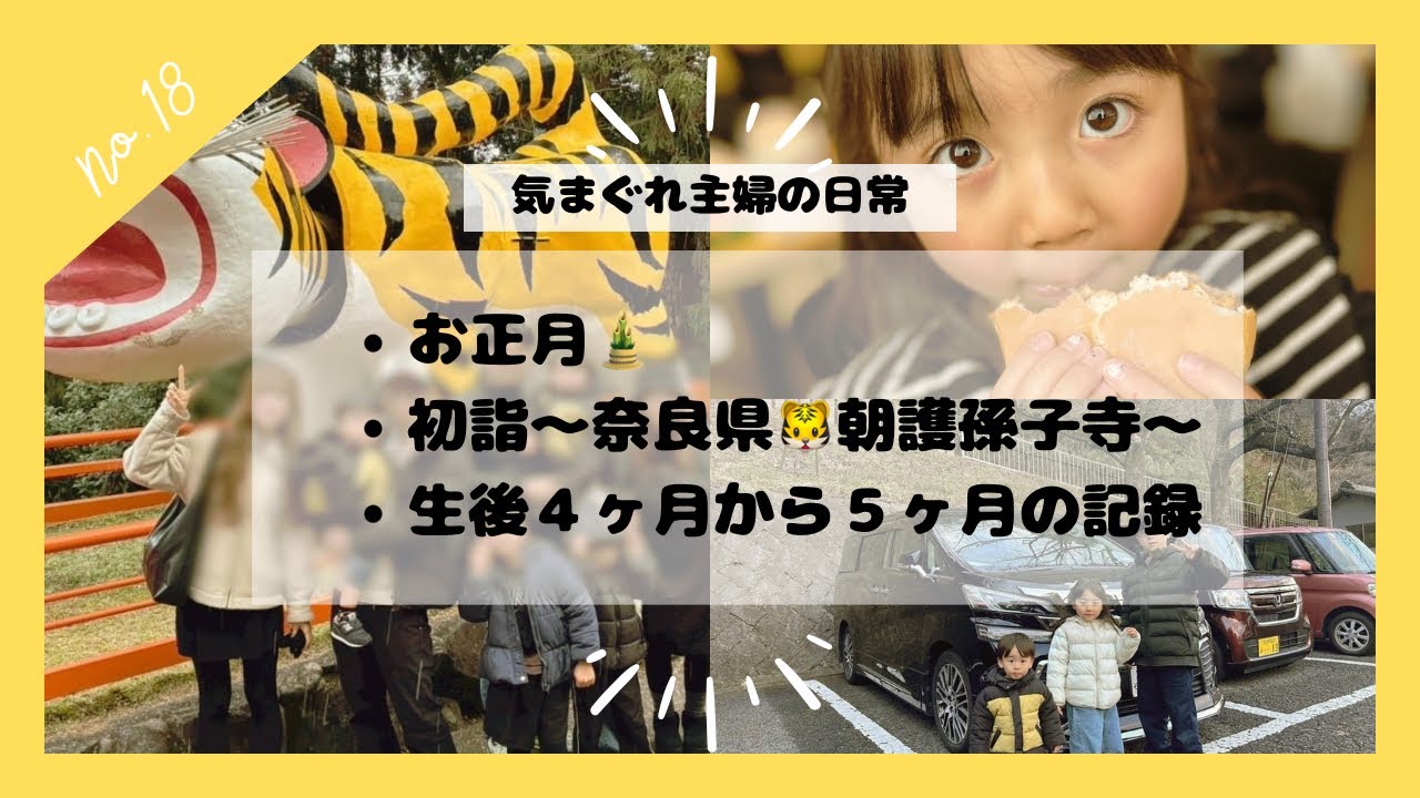 【おでかけvlog】初詣⛩️生後５ヶ月👶🏻の記録