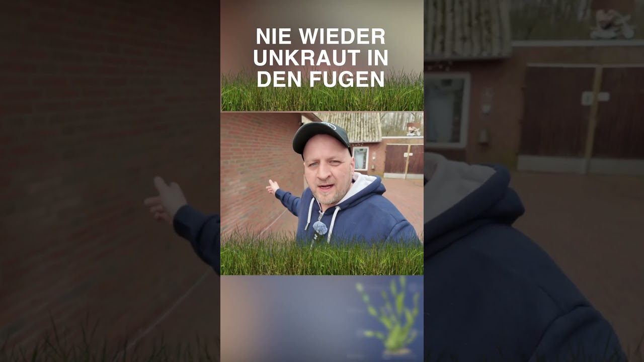 Unkraut in den Fugen zwischen den Pflasterseinen Gift Entfernen