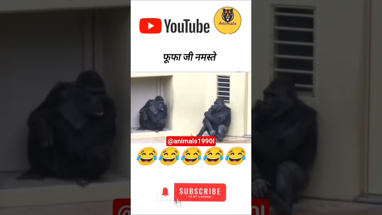 fufa ji namaskar 