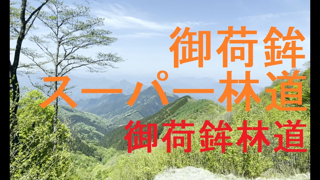 【林道走行限界走行】初心者オフローダーがCRFで行く 体力の限界に挑む 御荷鉾スーパー林道【マスツー】