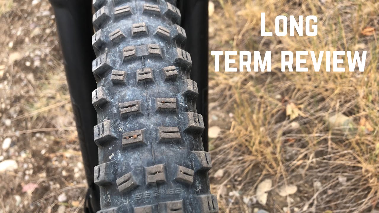 Schwalbe Hans Dampf Review