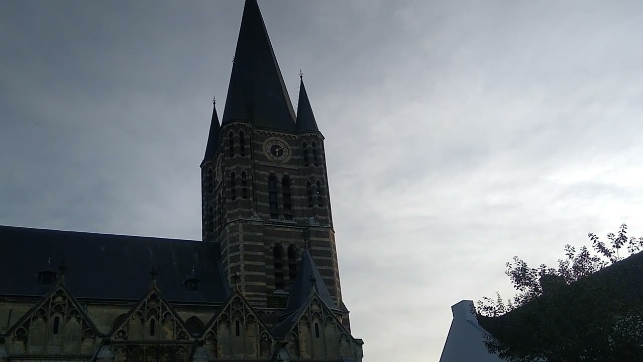 Thorn NL kerkklokken H. Michaëlkerk (stiftskerk) volgelui