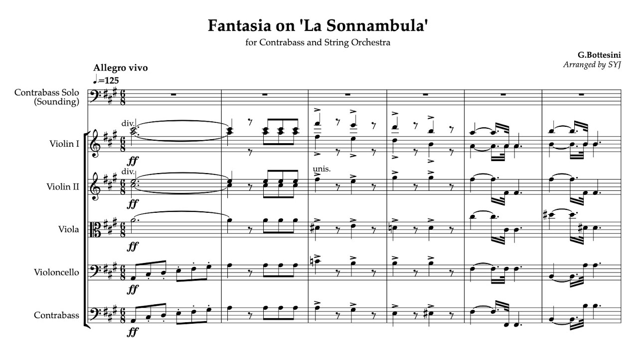 G.Bottesini - [Fantasia on 'La Sonnambula' for DoubleBass and string Orchestra]